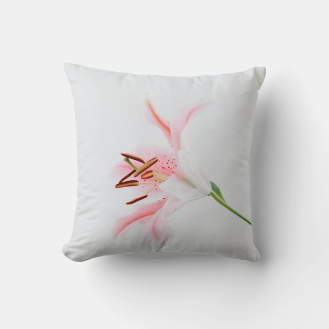 Sierkussen 16 x 16 inch (Voorkant)