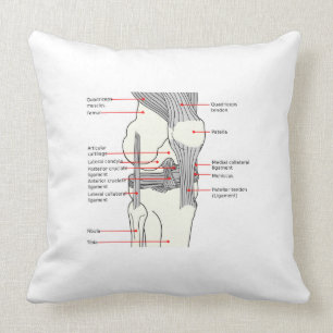 Sierkussen Anatomisch diagram rechtse knie