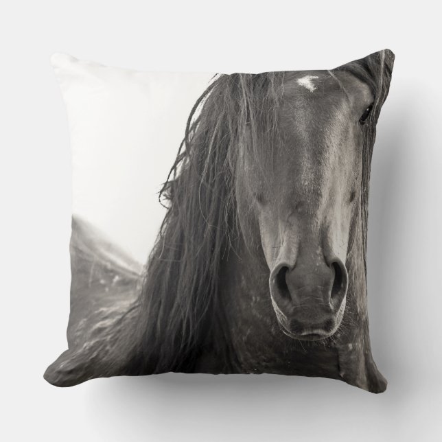 Sierkussen "Defiant" (Voorkant)