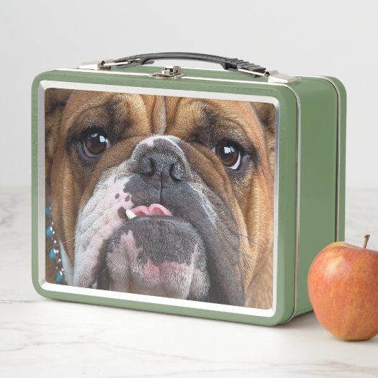 Sierkussen Engelse Bulldog (In situ)