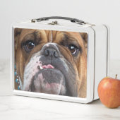 Sierkussen Engelse Bulldog (In situ)