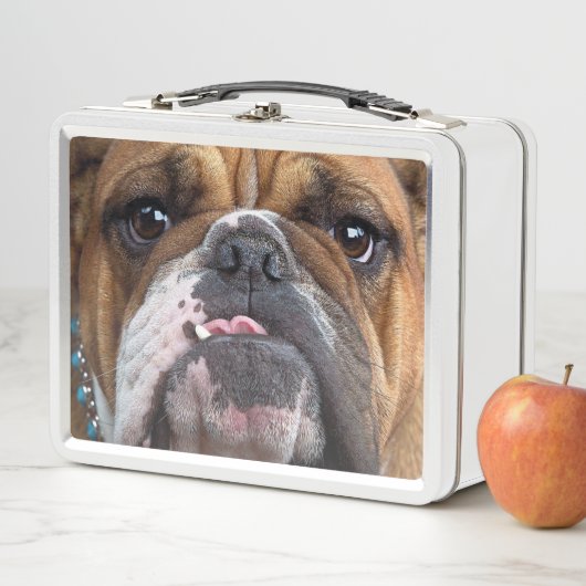 Sierkussen Engelse Bulldog (In situ)