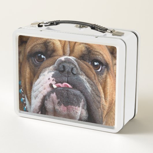 Sierkussen Engelse Bulldog (Achterkant)