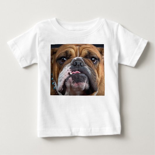 Sierkussen Engelse Bulldog (Voorkant)