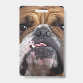 Sierkussen Engelse Bulldog Badge (Achterkant)