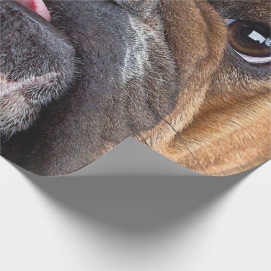 Sierkussen Engelse Bulldog Cadeaupapier (Hoek)