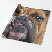 Sierkussen Engelse Bulldog Cadeaupapier (Uitgerold)