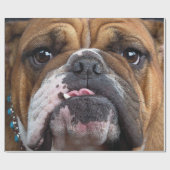 Sierkussen Engelse Bulldog Cadeaupapier (Vlak)