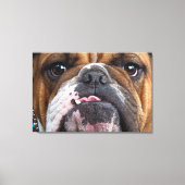 Sierkussen Engelse Bulldog Canvas Afdruk (Voorkant)