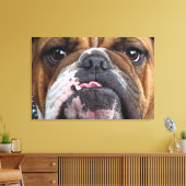 Sierkussen Engelse Bulldog Canvas Afdruk (Insitu (Woonkamer))