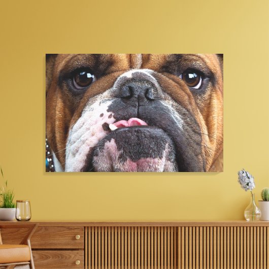 Sierkussen Engelse Bulldog Canvas Afdruk (Insitu (Woonkamer))