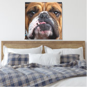 Sierkussen Engelse Bulldog Canvas Afdruk (Insitu (Slaapkamer))