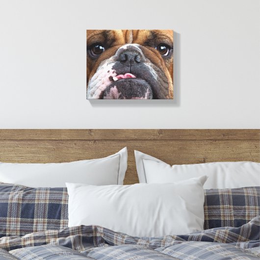 Sierkussen Engelse Bulldog Canvas Afdruk (Insitu (Slaapkamer))
