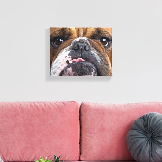 Sierkussen Engelse Bulldog Canvas Afdruk (Insitu (Woonkamer))