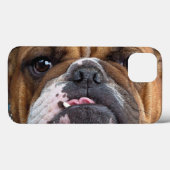 Sierkussen Engelse Bulldog Case-Mate iPhone Case (Achterkant (horizontaal))