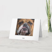 Sierkussen Engelse Bulldog Feestdagen Kaart (Achterkant)