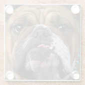 Sierkussen Engelse Bulldog Glazen Onderzetter (Achterkant)