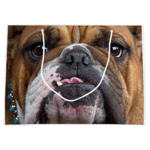 Sierkussen Engelse Bulldog Groot Cadeauzakje