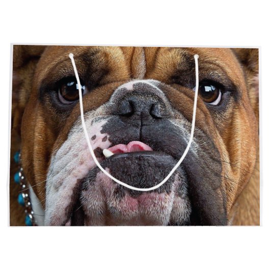 Sierkussen Engelse Bulldog Groot Cadeauzakje (Achterkant)