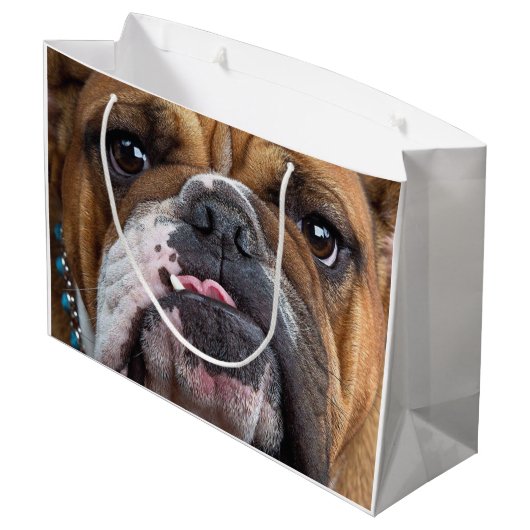 Sierkussen Engelse Bulldog Groot Cadeauzakje (Achterkant Gekanteld)