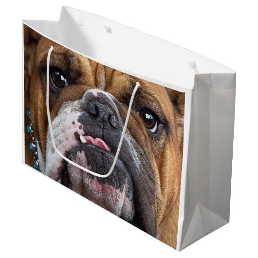 Sierkussen Engelse Bulldog Groot Cadeauzakje (Voorkant Gekanteld)