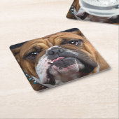 Sierkussen Engelse Bulldog Kartonnen Onderzetters (Schuin)