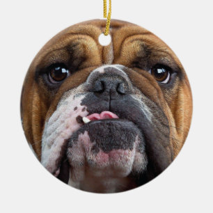Sierkussen Engelse Bulldog Keramisch Ornament