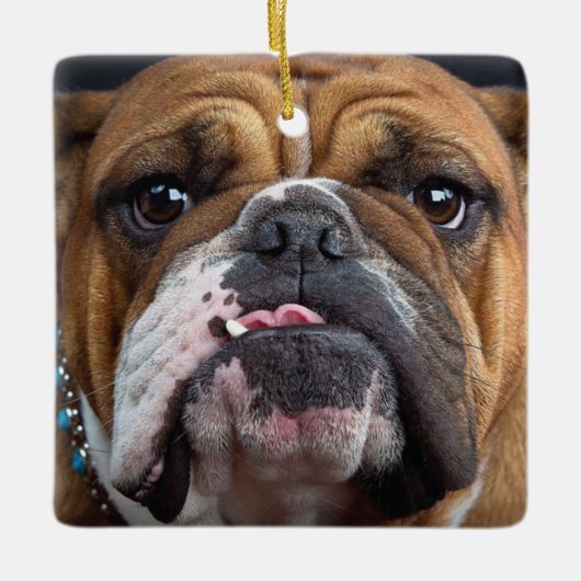 Sierkussen Engelse Bulldog Keramisch Ornament (Voorkant)