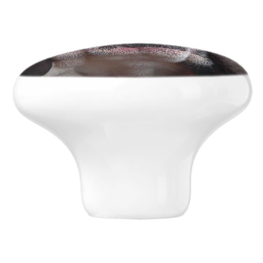 Sierkussen Engelse Bulldog Keramische Knop (Zijkant)