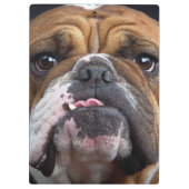 Sierkussen Engelse Bulldog Klembord (Achterkant)