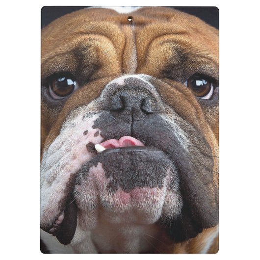 Sierkussen Engelse Bulldog Klembord (Achterkant)