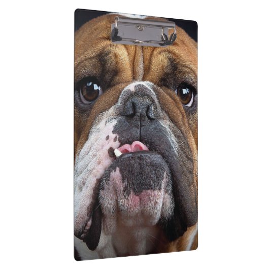 Sierkussen Engelse Bulldog Klembord (Rechts)