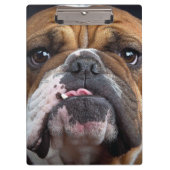 Sierkussen Engelse Bulldog Klembord (Voorkant)