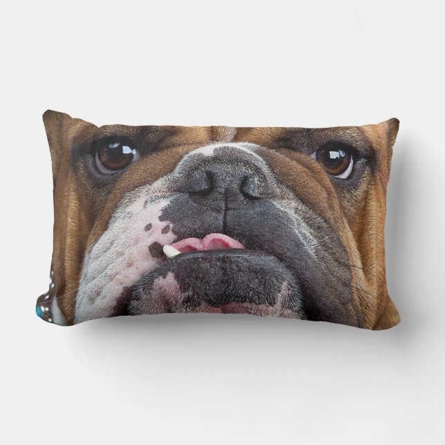 Sierkussen Engelse Bulldog Kussen (Voorkant)