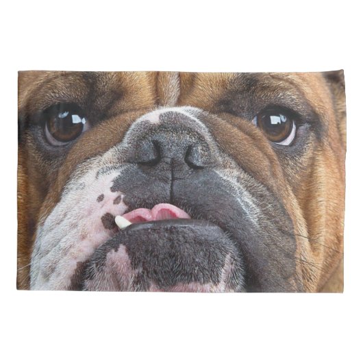Sierkussen Engelse Bulldog Kussensloop (Achterkant-Links)