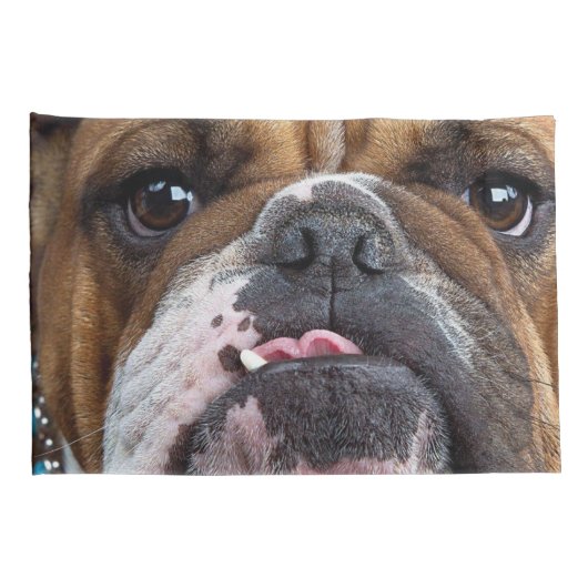 Sierkussen Engelse Bulldog Kussensloop (Achterkant-Rechts)