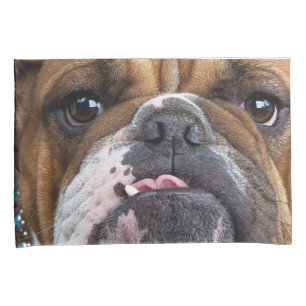 Sierkussen Engelse Bulldog Kussensloop