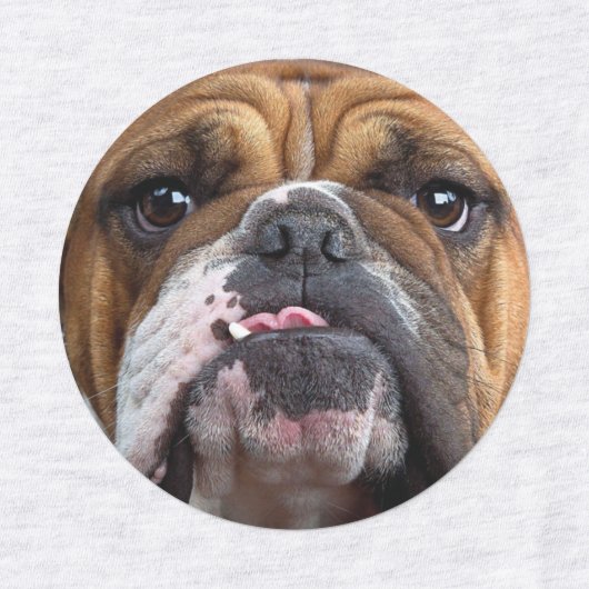 Sierkussen Engelse Bulldog Labels (Design 1)