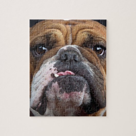 Sierkussen Engelse Bulldog Legpuzzel (Verticaal)