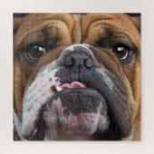 Sierkussen Engelse Bulldog Legpuzzel (Verticaal)