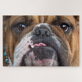 Sierkussen Engelse Bulldog Legpuzzel (Horizontaal)