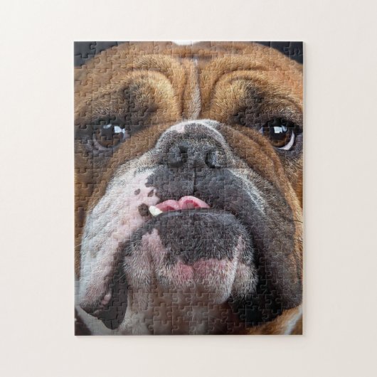 Sierkussen Engelse Bulldog Legpuzzel (Verticaal)