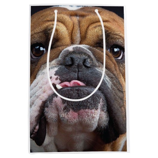 Sierkussen Engelse Bulldog Medium Cadeauzakje (Voorkant)