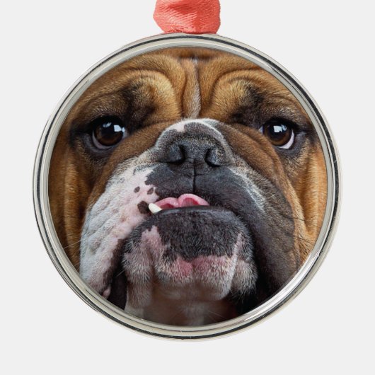 Sierkussen Engelse Bulldog Metalen Ornament (Voorkant)