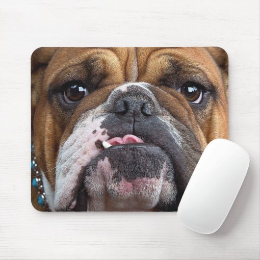 Sierkussen Engelse Bulldog Muismat (Met muis)