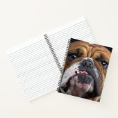 Sierkussen Engelse Bulldog Notitieboek (Binnen)