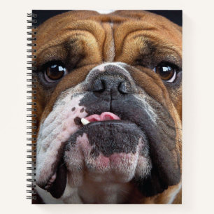 Sierkussen Engelse Bulldog Notitieboek
