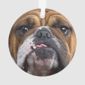 Sierkussen Engelse Bulldog Ornament (achterkant)