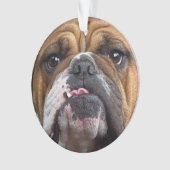 Sierkussen Engelse Bulldog Ornament (voorkant)
