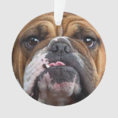Sierkussen Engelse Bulldog Ornament (voorkant)